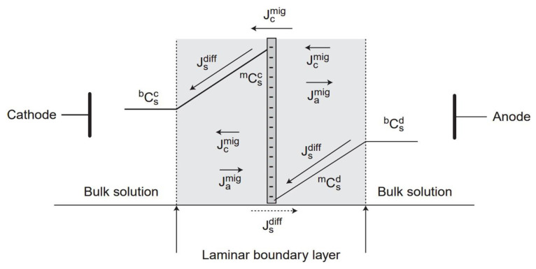 Understanding ammonia's role in mitigating concentration polarization in anion-exchange membrane electrodialysis.