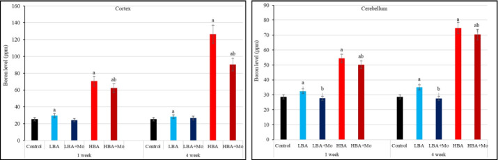 A comparative neuro-study of solo or accompanied low and high boric acid doses with date molasses in adult male albino rats.