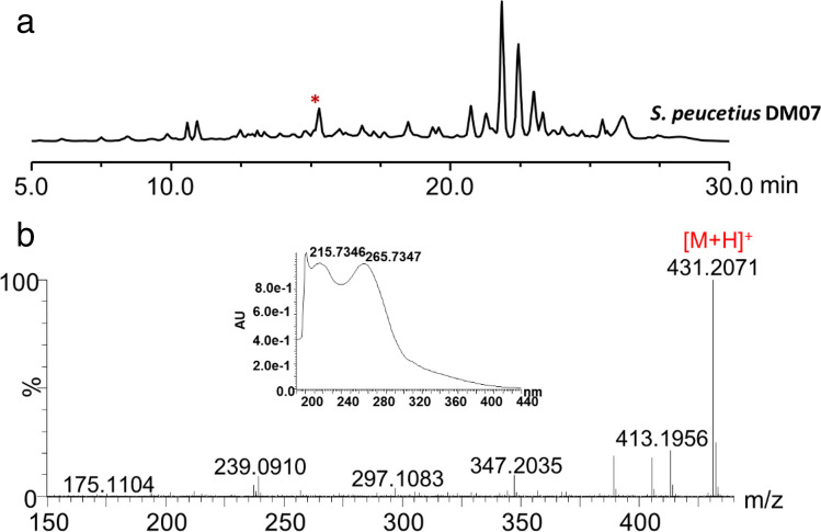 A new peucemycin derivative and impacts of peuR and bldA on peucemycin biosynthesis in Streptomyces peucetius.