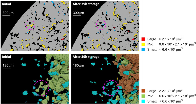 Multiscale experimental study of H[Formula: see text]/brine multiphase flow in porous rock characterizing relative permeability hysteresis, hydrogen dissolution, and Ostwald ripening.