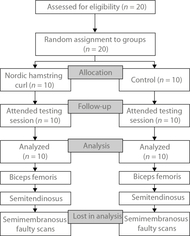 Acute effects of Nordic hamstring exercise on ultrasound shear wave elastography.