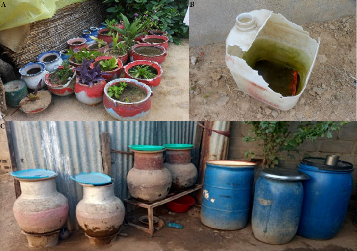 [Entomological investigation during the chikungunya epidemic in Chad in 2020].