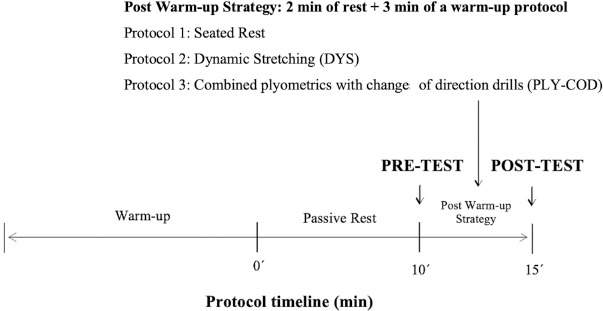Effects of Different Post Warm-Up Strategies for Non-Starter Players in Futsal.