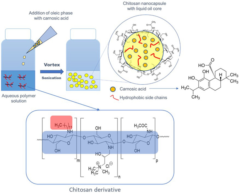 Chitosan-Based Nanocapsules as a Delivery System of Hydrophobic Carnosic Acid, A Model Neuroprotective Drug.