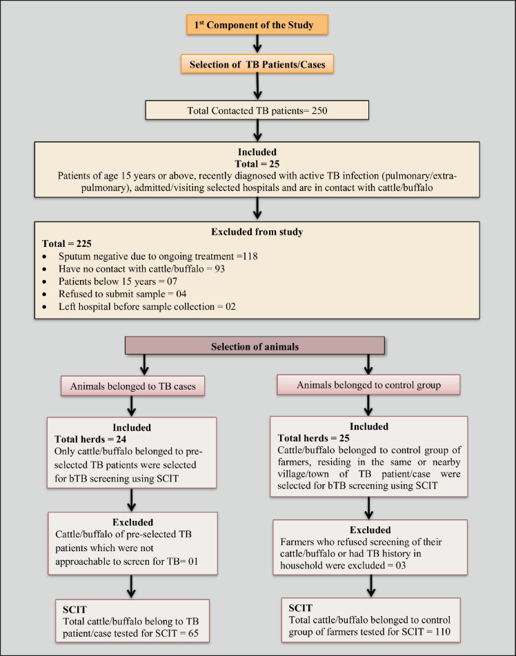 A retrospective study of zoonotic tuberculosis among livestock farmers of Lahore district using one health approach.