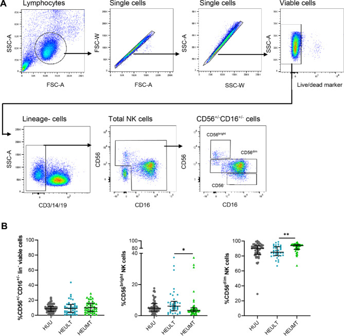 Phenotypic characterization of NK cells in 5-year-old children exposed to maternal HIV and antiretroviral therapy in early-life.