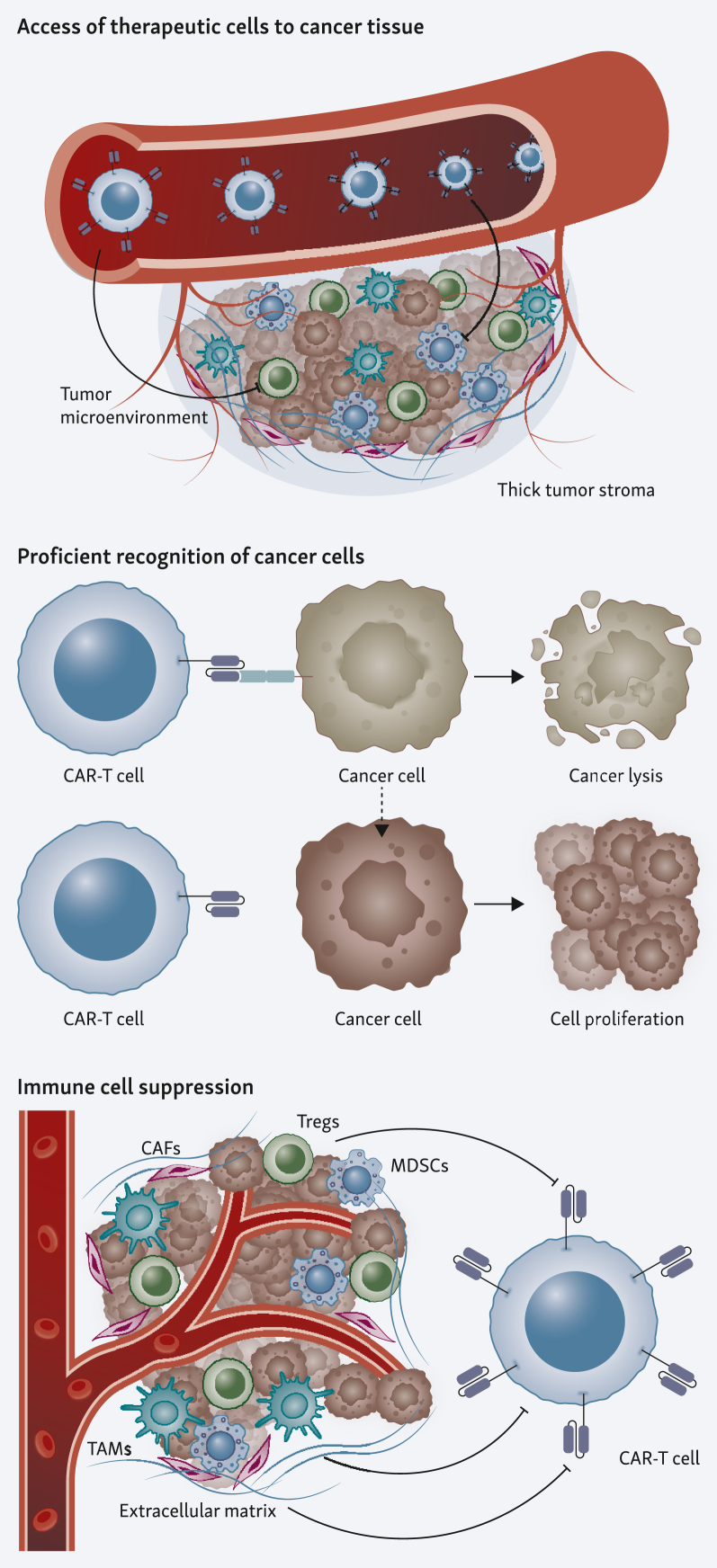 Armoring chimeric antigen receptor (CAR) T cells as micropharmacies for cancer therapy