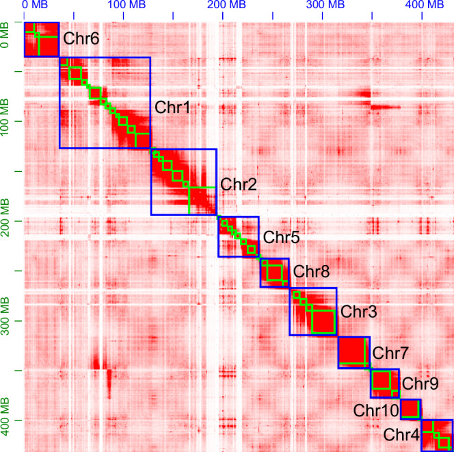 A chromosome-level genome assembly of Serangium japonicum Chapin, 1940 (Coleoptera: Coccinellidae).