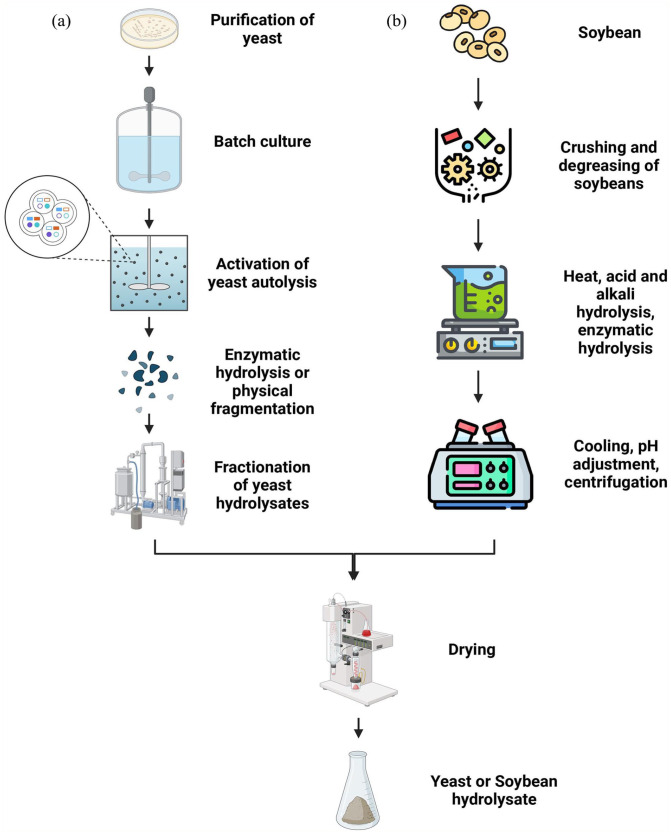 Animal-derived free hydrolysate in animal cell culture: Current research and application advances.