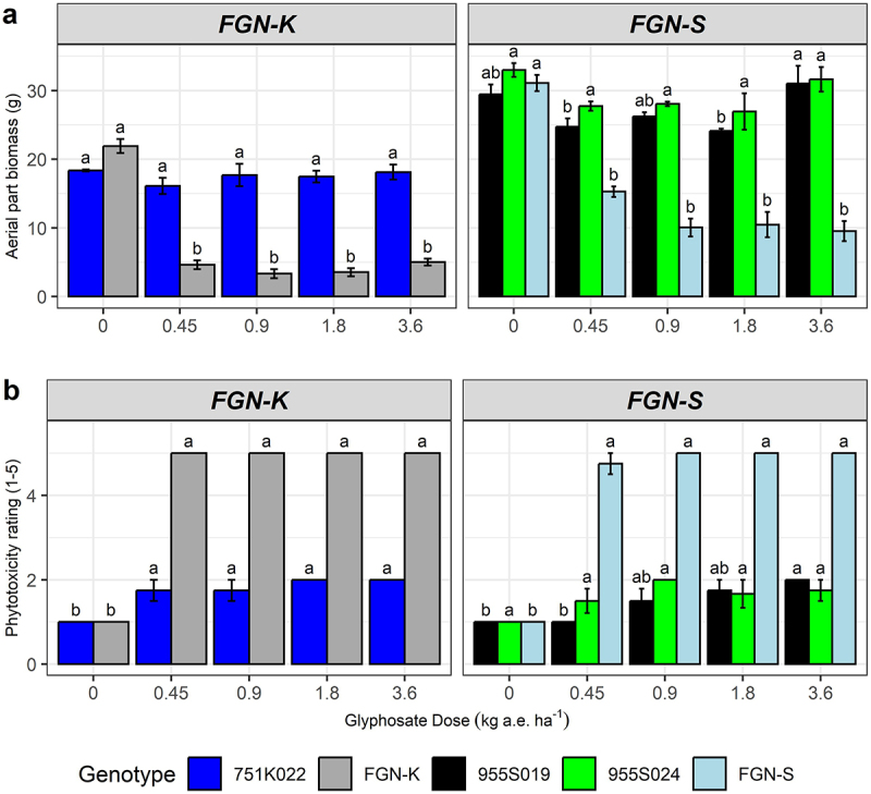 Characterization of glyphosate-tolerant genetically modified eucalyptus.