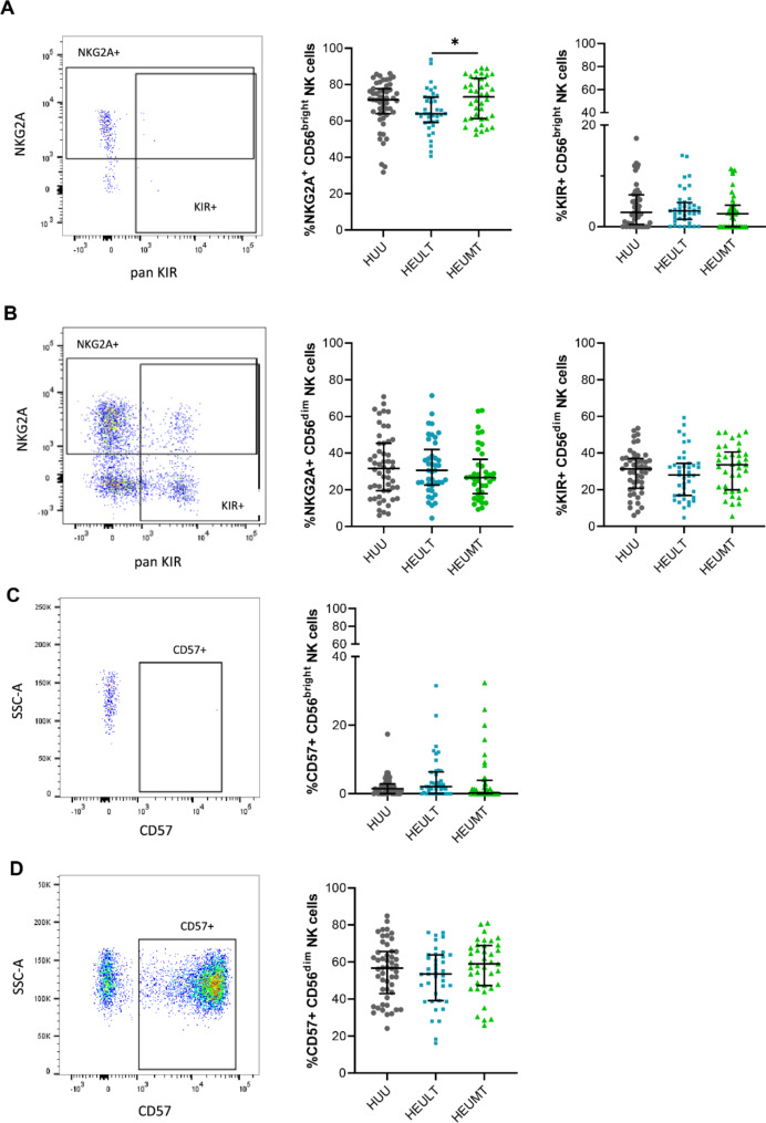 Phenotypic characterization of NK cells in 5-year-old children exposed to maternal HIV and antiretroviral therapy in early-life.
