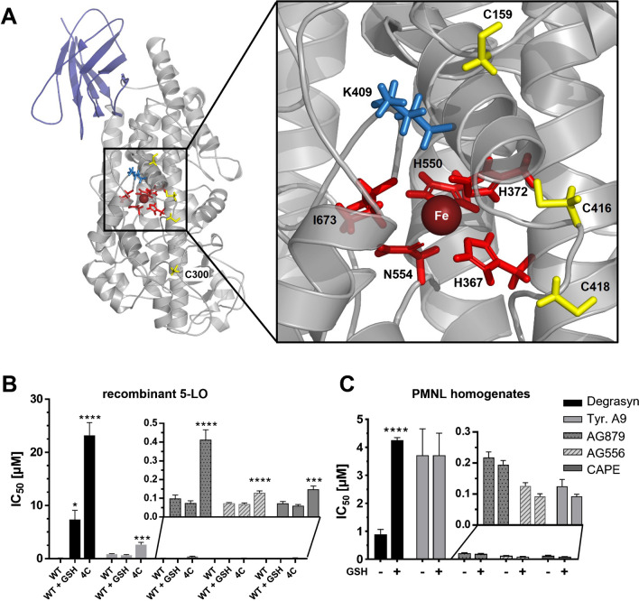 Abstract Image