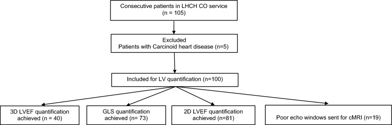 Feasibility of three dimensional and strain transthoracic echocardiography in a single-centre dedicated NHS cardio-oncology clinic.