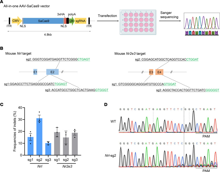Abstract Image