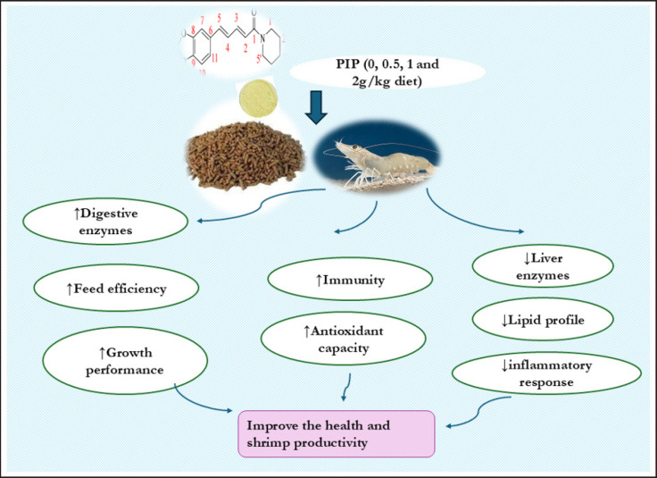 Effects of dietary piperine on growth, hemolymph chemistry, body composition, antioxidant state, immune response, and resistance against <i>Vibrio parahemolyticus</i> in whiteleg shrimp (<i>Litopenaeus vannamei</i>).