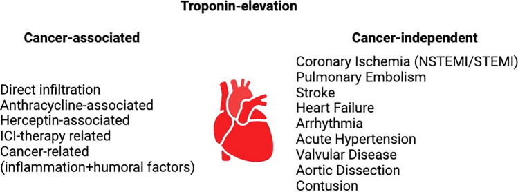 Troponin Elevation in Asymptomatic Cancer Patients: Unveiling Connections and Clinical Implications.
