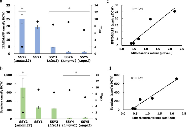 The potency of mitochondria enlargement for mitochondria-mediated terpenoid production in yeast.