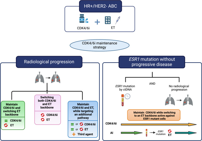 Unveiling the Potential of Cyclin-Dependent Kinases 4 and 6 Inhibitors Beyond Progression in Hormone Receptor Positive/Human Epidermal Growth Factor Negative Advanced Breast Cancer - A Clinical Review.