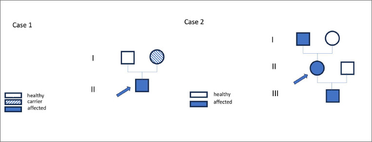 The FHL1 myopathy spectrum revisited: a literature review and report of two new patients.