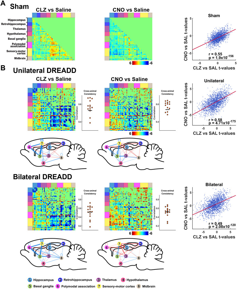 Exploring memory-related network via dorsal hippocampus suppression.