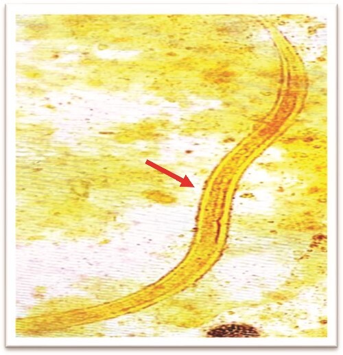Abstract Image