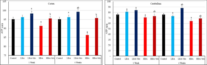 A comparative neuro-study of solo or accompanied low and high boric acid doses with date molasses in adult male albino rats.