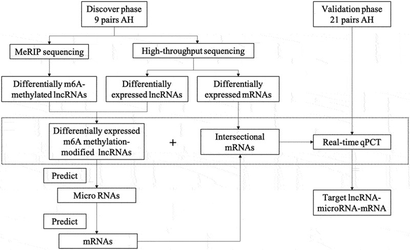 Role of N6-methyladenosine-related lncRnas in pseudoexfoliation glaucoma.