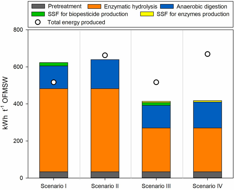 Exploring biorefinery alternatives for biowaste valorization: a techno-economic assessment of enzymatic hydrolysis coupled with anaerobic digestion or solid-state fermentation for high-value bioproducts.