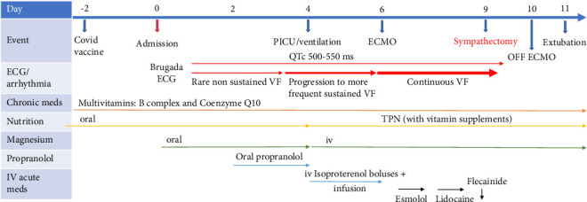 Complexities of Management of Atypical Ventricular Fibrillation Storm in a Young Patient With TANGO2.