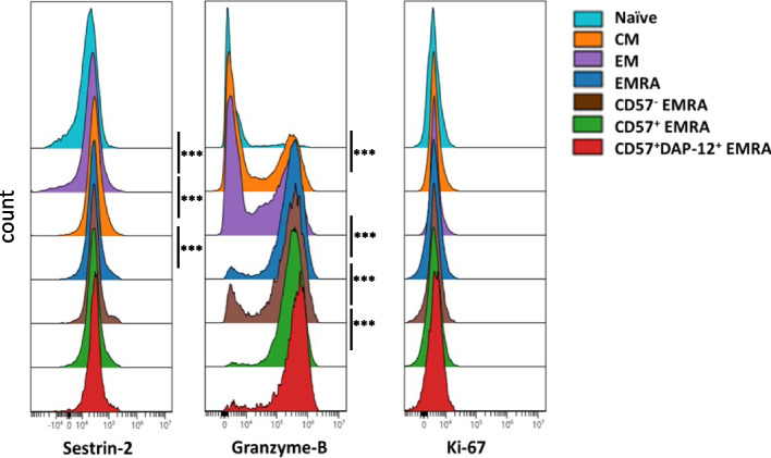 CD57<sup>+</sup> EMRA CD8<sup>+</sup> T cells in cancer patients over 70: associations with prior chemotherapy and response to anti-PD-1/PD-L1 therapy.