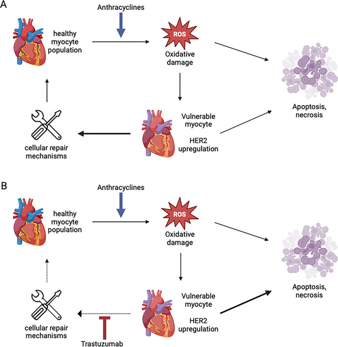 Troponin Elevation in Asymptomatic Cancer Patients: Unveiling Connections and Clinical Implications.