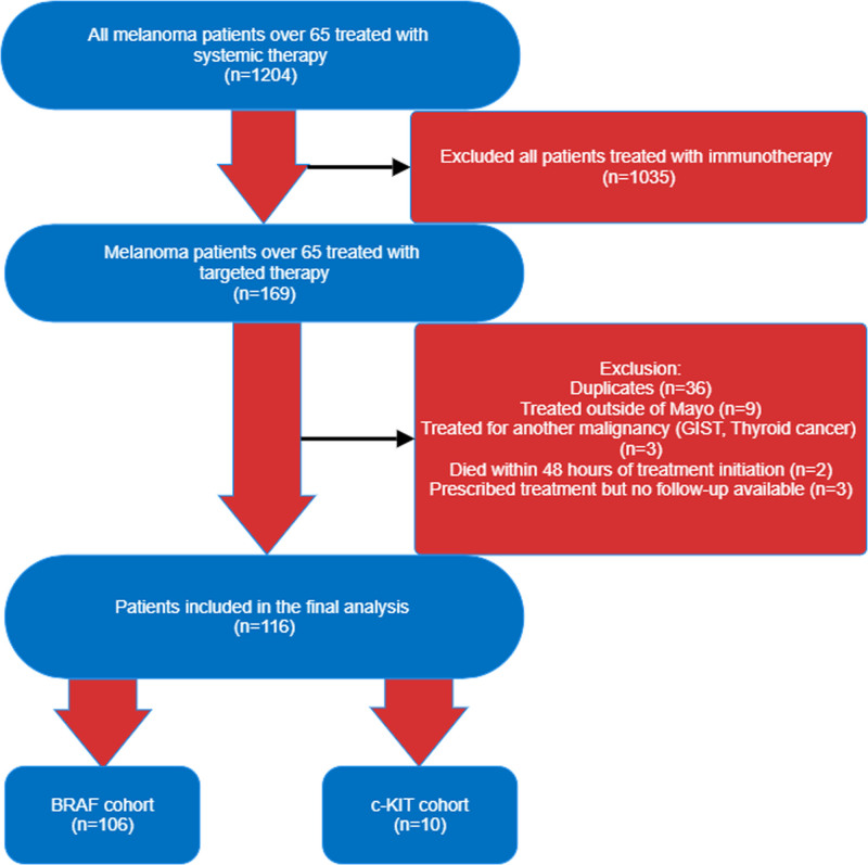 Real-world evidence on efficacy and toxicity of targeted therapy in older melanoma patients treated in a tertiary-hospital setting.