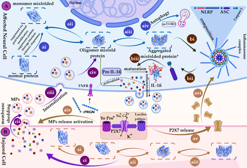 The Role of Extracellular Vesicles and Microparticles in Central Nervous System Disorders: Mechanisms, Biomarkers, and Therapeutic Potential.