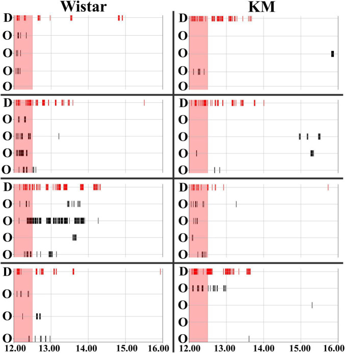 Abstract Image