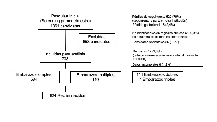 [Obstetric and neonatal outcomes in pregnancies conceived by assisted reproductive technology in an Argentine cohort]