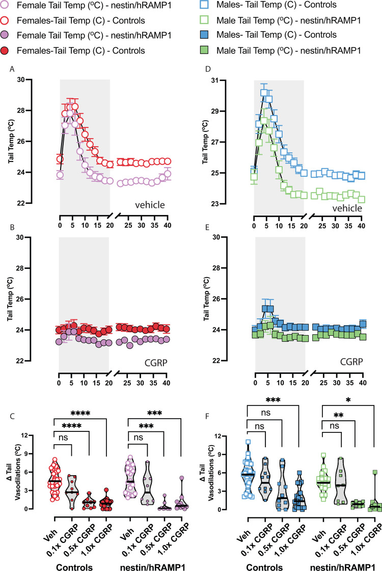 Human RAMP1 overexpressing mice are resistant to migraine therapies for motion sensitivity.