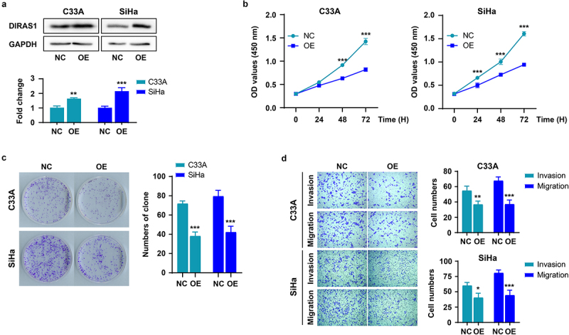 M6A modification regulates tumor suppressor DIRAS1 expression in cervical cancer cells.