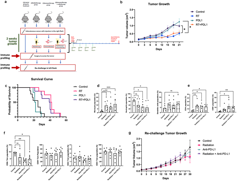 Effects of combined radiotherapy with immune checkpoint blockade on immunological memory in luminal-like subtype murine bladder cancer model.