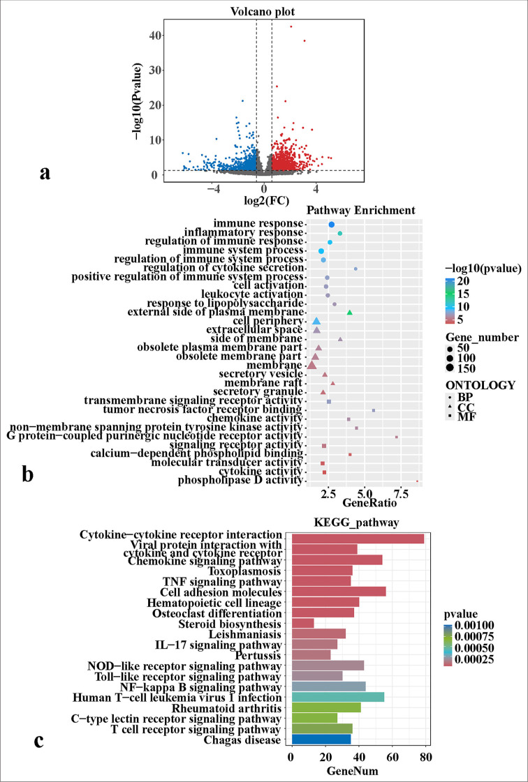 Tumor necrosis factor receptor-associated factor 5 enhances perianal fistulizing Crohn's disease through epithelial-mesenchymal transition.