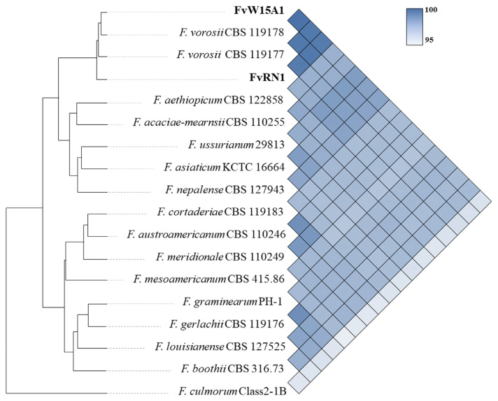 Mycological and Genomic Characterization of Fusarium vorosii, a Potentially Pathogenic Fungus, Isolated from Field Crops and Weeds in Korea.
