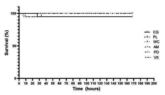 The Effect of Different Bleaching Techniques Using 6% Hydrogen Peroxide: Penetration Inside the Pulp Cavity, Bleaching Efficacy and Toxicity.