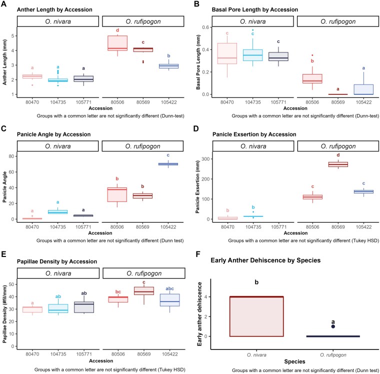 Floral traits underlying mating system differentiation in the wind-pollinated sister species <i>Oryza rufipogon</i> and <i>Oryza nivara</i>.