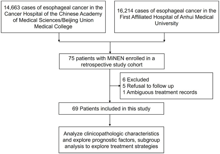 Characterizing esophageal mixed neuroendocrine-non-neuroendocrine neoplasms: insights from a retrospective multicenter study of clinical outcomes and prognostic indicators.