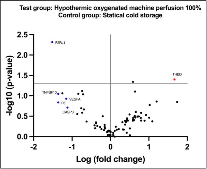 Impact of Hypothermic Perfusion on Immune Responses and Sterile Inflammation in a Preclinical Model of Pancreatic Transplantation.
