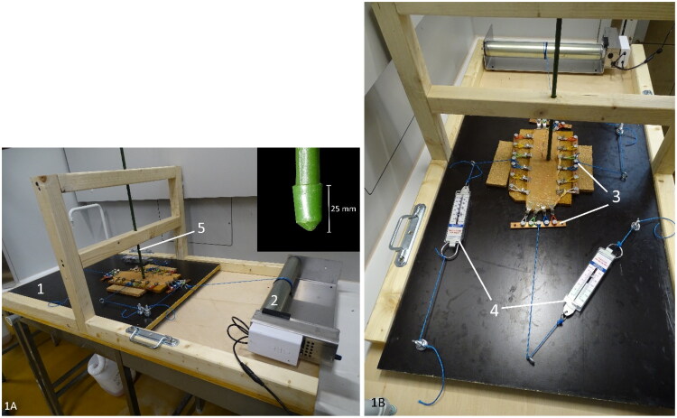 Characterization of early-stage lesions and investigation on the role of mucosal trauma in hemorrhagic bowel syndrome in cattle.