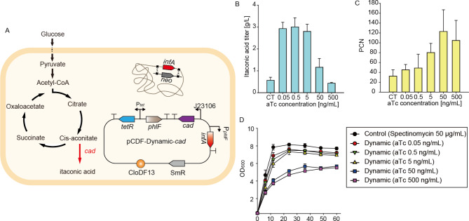 Dynamic control of the plasmid copy number maintained without antibiotics in Escherichia coli.