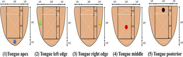 摘要图片