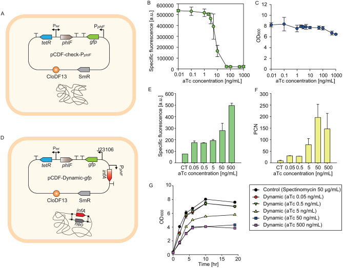 Dynamic control of the plasmid copy number maintained without antibiotics in Escherichia coli.