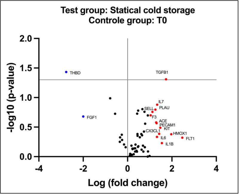 Impact of Hypothermic Perfusion on Immune Responses and Sterile Inflammation in a Preclinical Model of Pancreatic Transplantation.