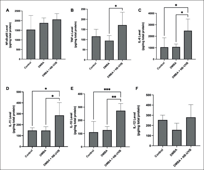 Effect of narrowband ultraviolet B (311 nm) exposure on skin carcinogenesis in Wistar rats.